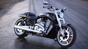 bán xe harley davidson v rod cũ