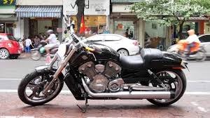 bán xe harley davidson v rod cũ