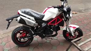 mua xe ducati monster 110