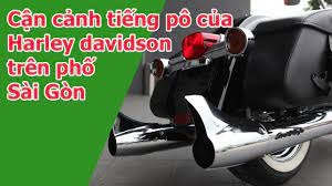 pô xe harley davidson