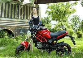 xe ducati 110.