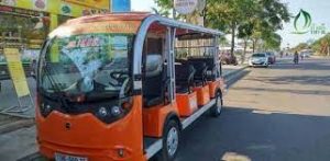 xe ô tô điện quy nhơn..