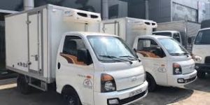 xe bán tải 1 tấn.